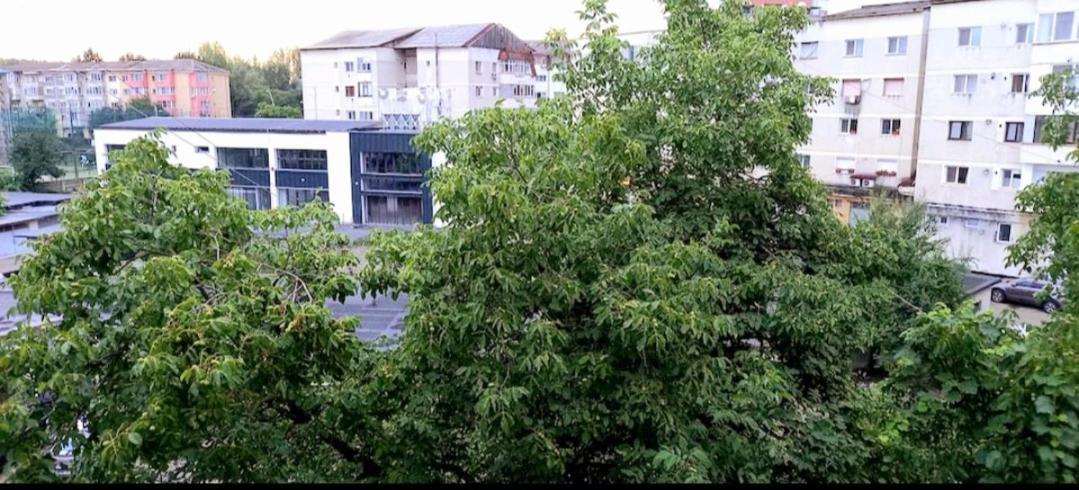 33 Coquette Apartment Baia Mare Eksteriør bilde