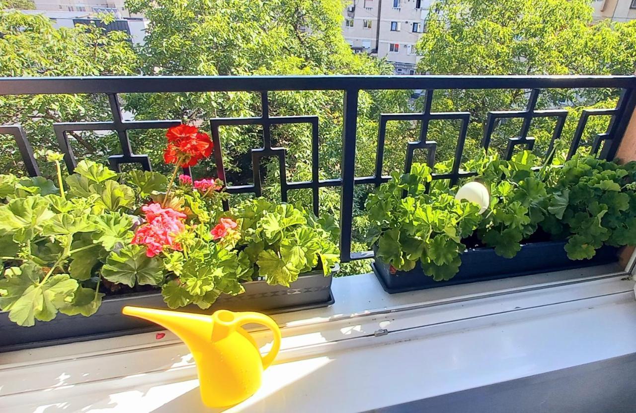 33 Coquette Apartment Baia Mare Eksteriør bilde