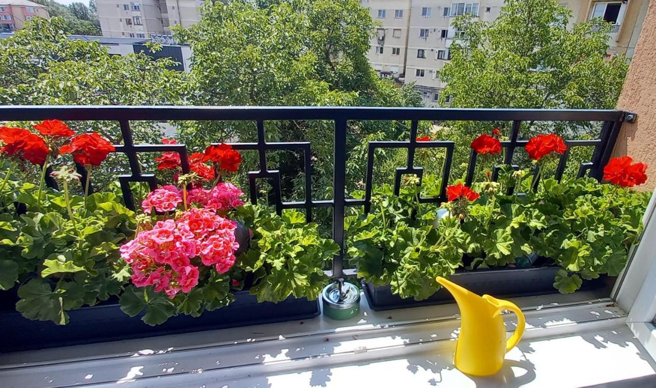 33 Coquette Apartment Baia Mare Eksteriør bilde