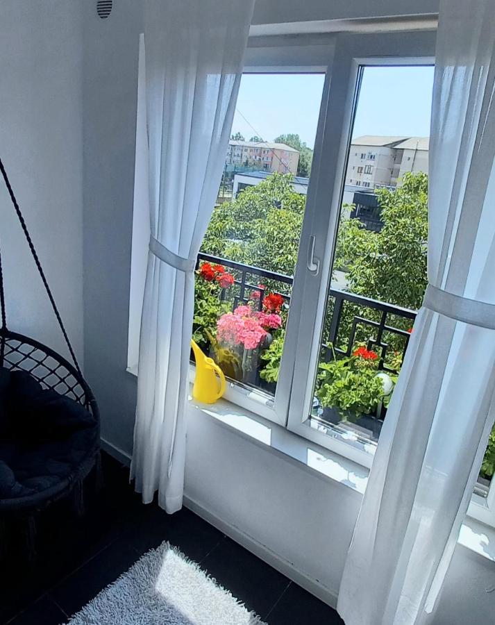 33 Coquette Apartment Baia Mare Eksteriør bilde